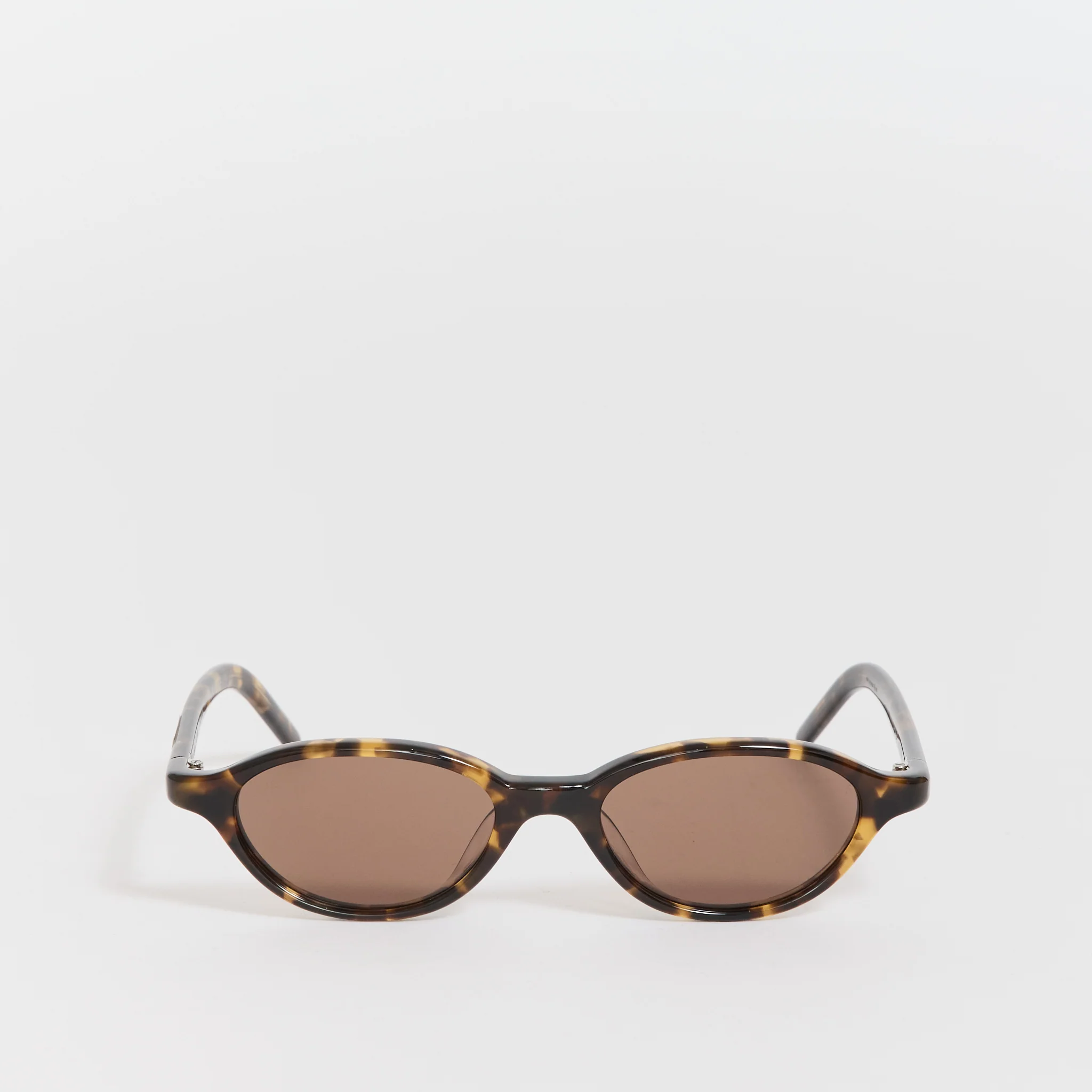 Alien Tortoise/Brown