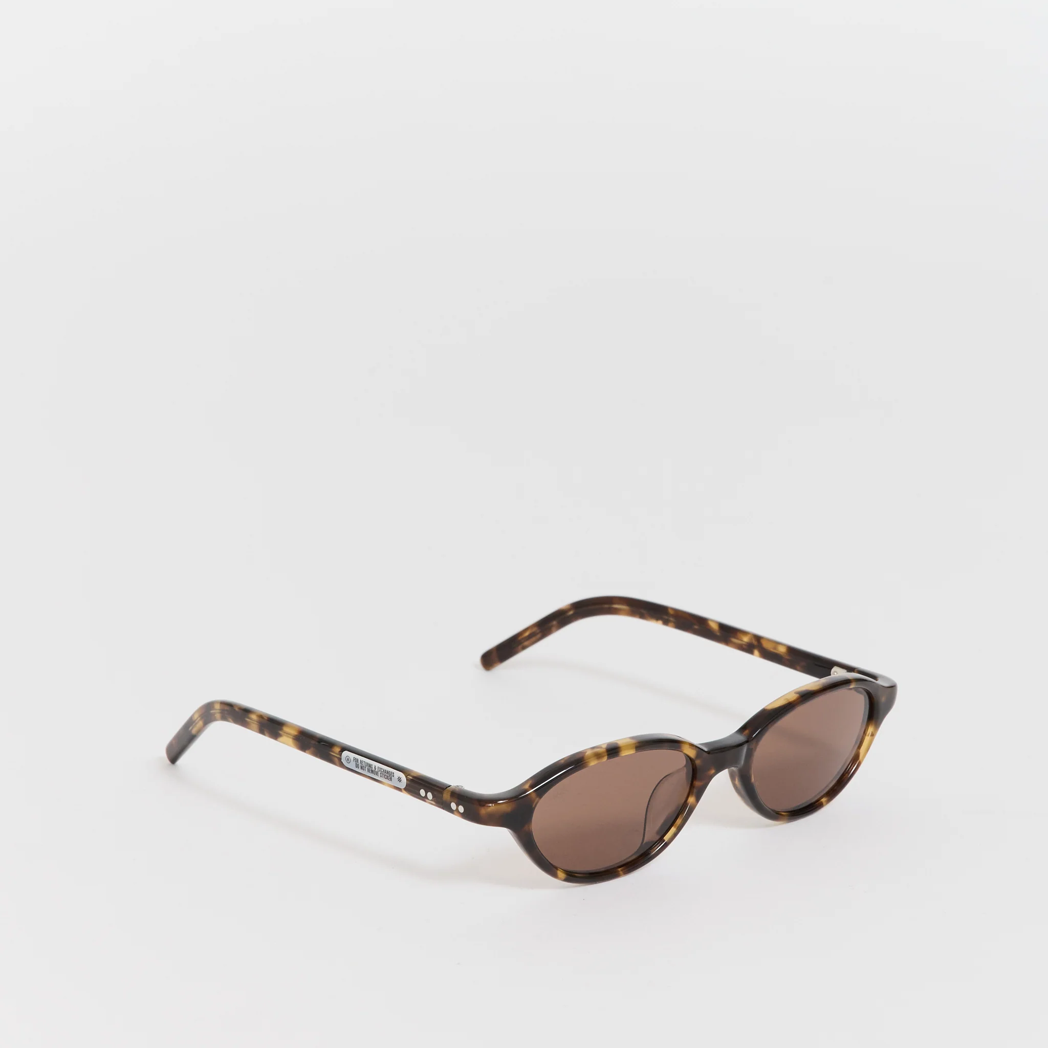 Alien Tortoise/Brown - Image 2