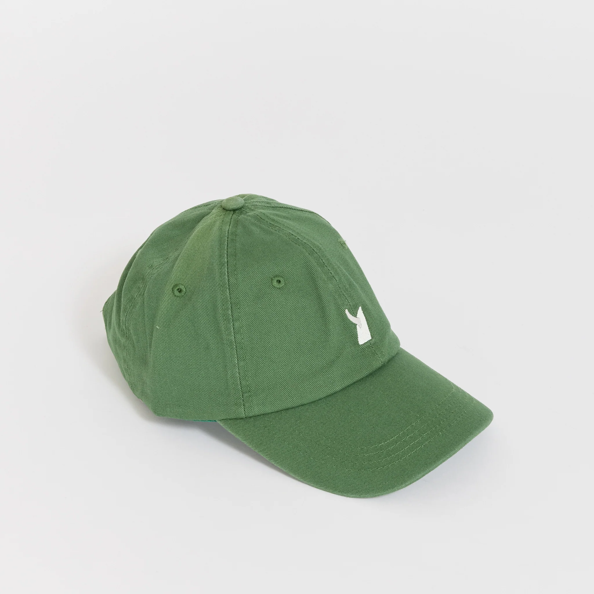 Single Fin Cap Green
